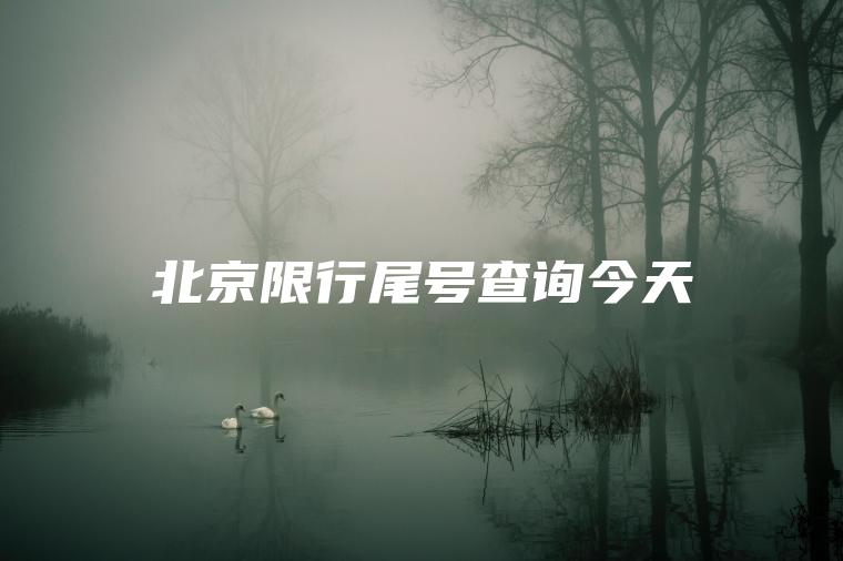 北京限行尾号查询今天
