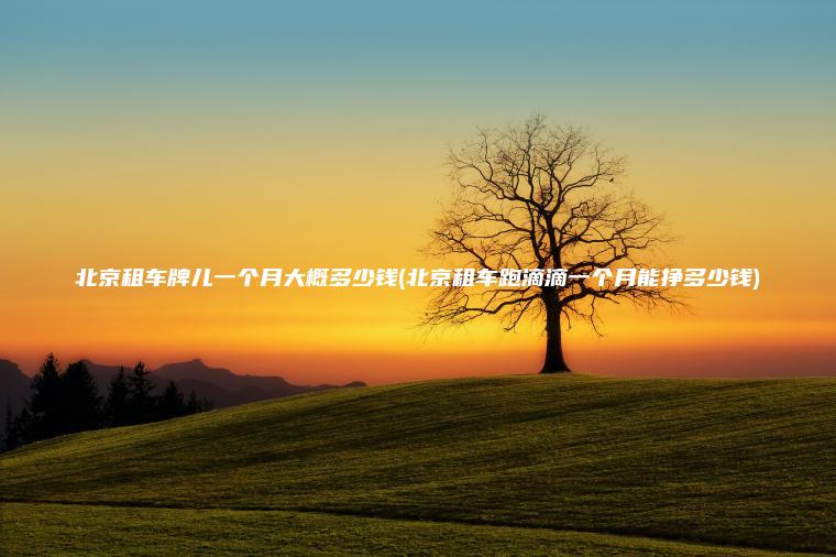 北京租车牌儿一个月大概多少钱(北京租车跑滴滴一个月能挣多少钱)
