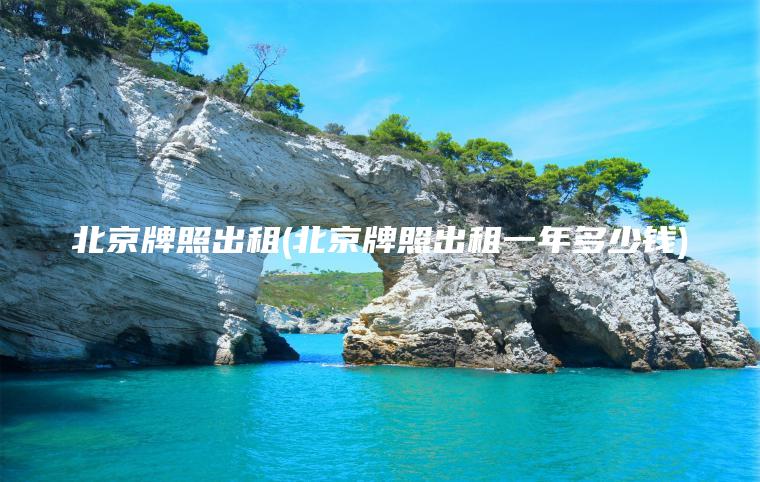 北京牌照出租(北京牌照出租一年多少钱)