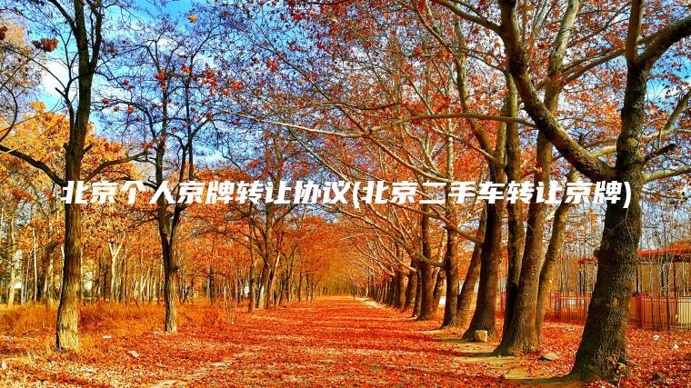 北京个人京牌转让协议(北京二手车转让京牌)