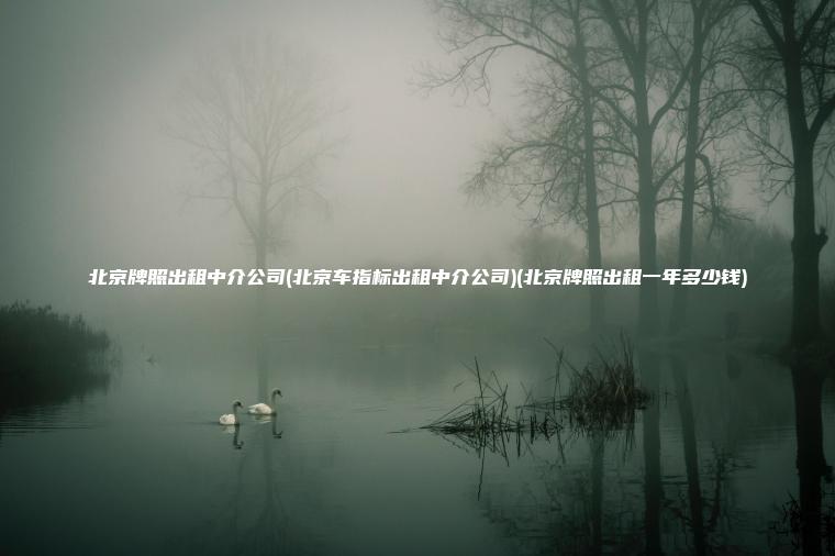 北京牌照出租中介公司(北京车指标出租中介公司)(北京牌照出租一年多少钱)