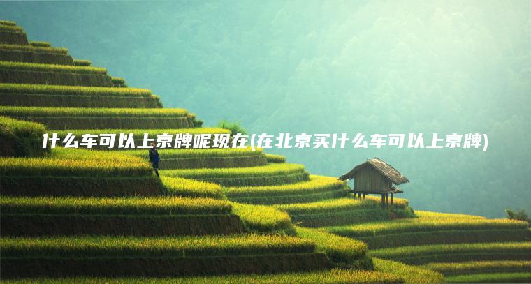 什么车可以上京牌呢现在(在北京买什么车可以上京牌)