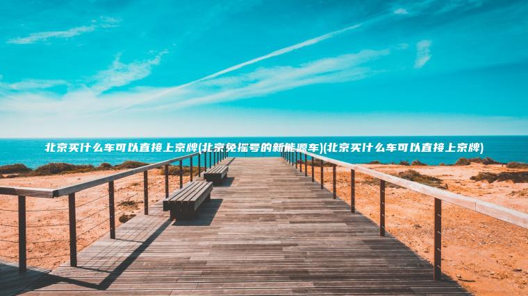 北京买什么车可以直接上京牌(北京免摇号的新能源车)(北京买什么车可以直接上京牌)