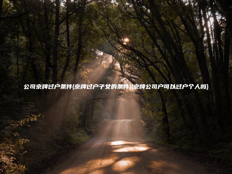 公司京牌过户条件(京牌过户子女的条件)(京牌公司户可以过户个人吗)