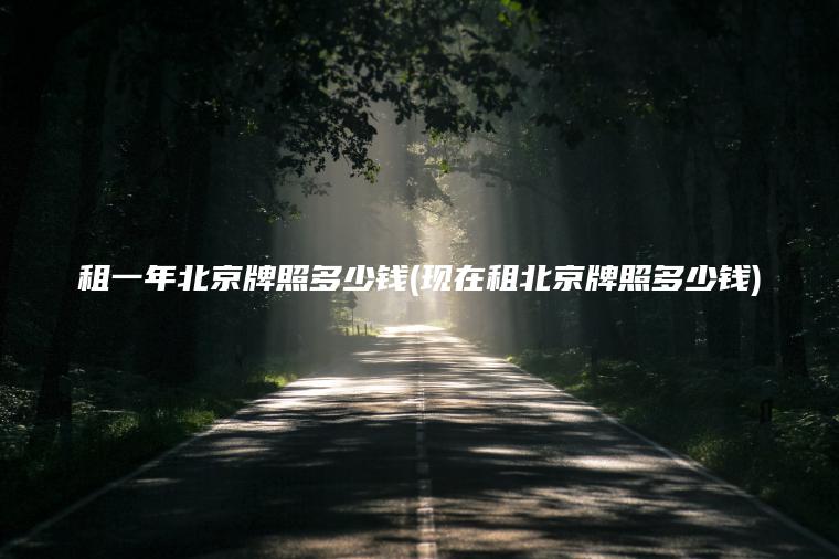 租一年北京牌照多少钱(现在租北京牌照多少钱)