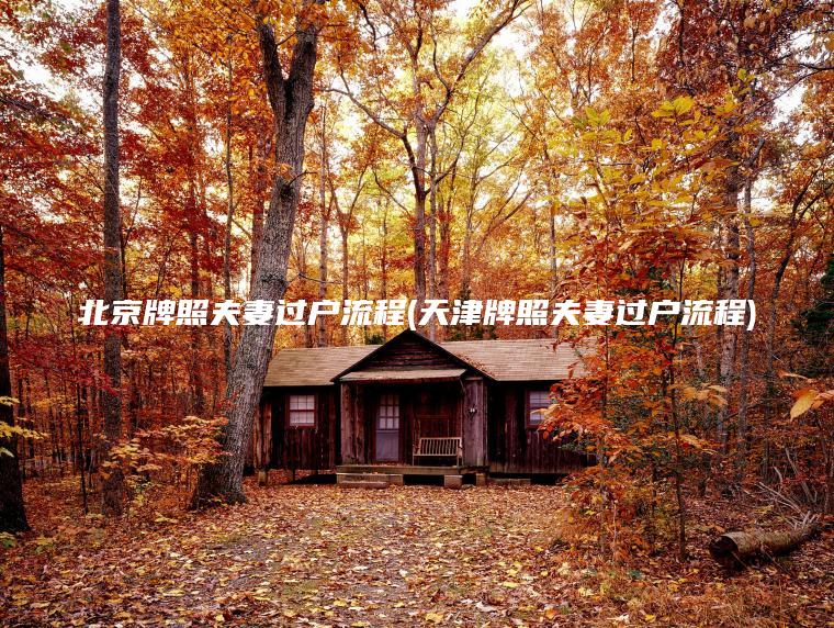北京牌照夫妻过户流程(天津牌照夫妻过户流程)