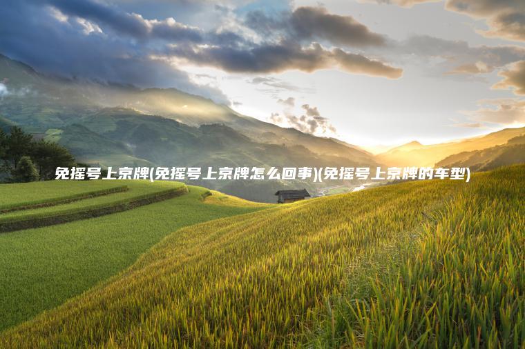 免摇号上京牌(免摇号上京牌怎么回事)(免摇号上京牌的车型)