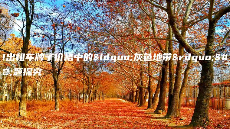 北京出租车牌子价格中的“灰色地带”问题探究