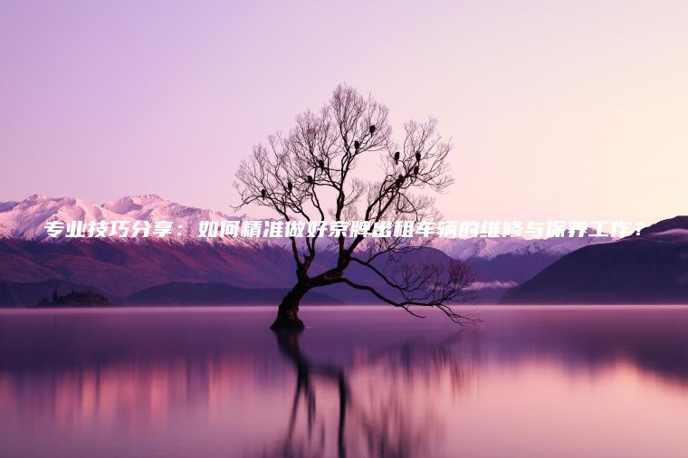 专业技巧分享：如何精准做好京牌出租车辆的维修与保养工作？
