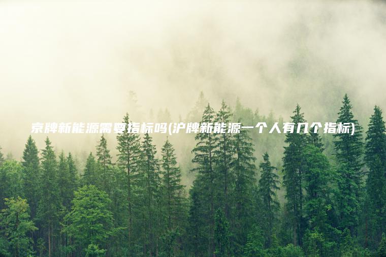 京牌新能源需要指标吗(沪牌新能源一个人有几个指标)