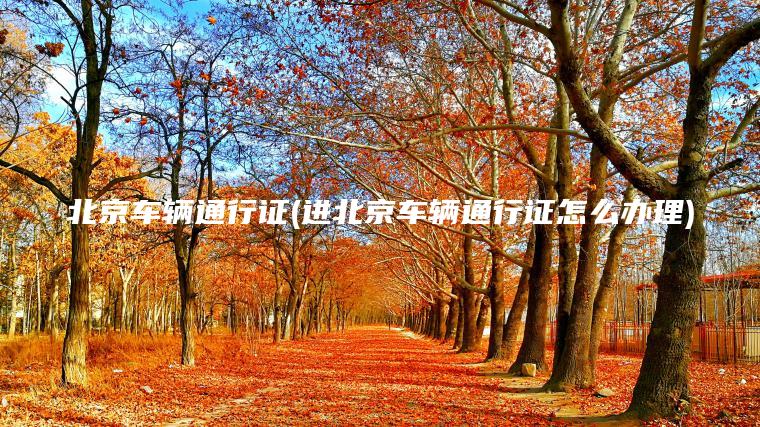 北京车辆通行证(进北京车辆通行证怎么办理)