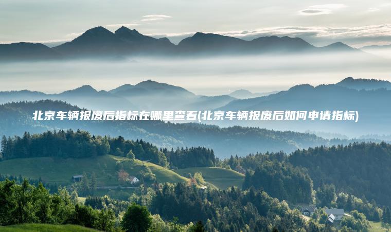 北京车辆报废后指标在哪里查看(北京车辆报废后如何申请指标)