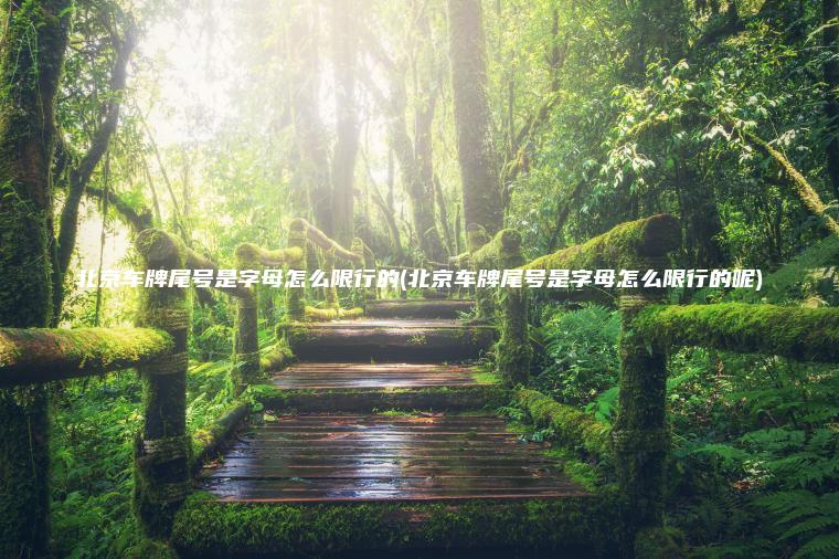 北京车牌尾号是字母怎么限行的(北京车牌尾号是字母怎么限行的呢)