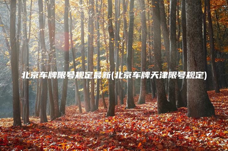 北京车牌限号规定最新(北京车牌天津限号规定)