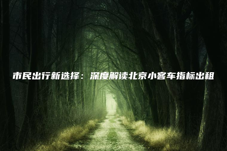市民出行新选择：深度解读北京小客车指标出租