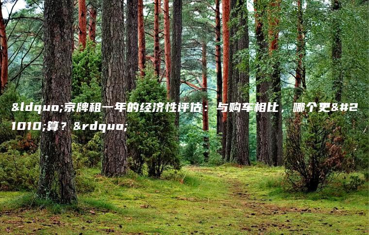 “京牌租一年的经济性评估：与购车相比，哪个更划算？”