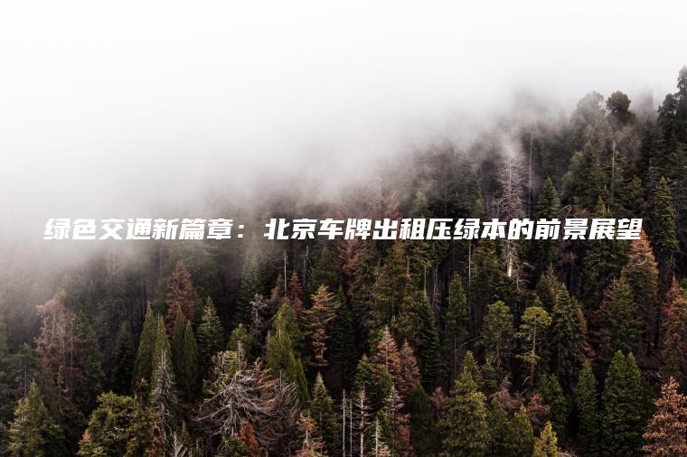 绿色交通新篇章：北京车牌出租压绿本的前景展望