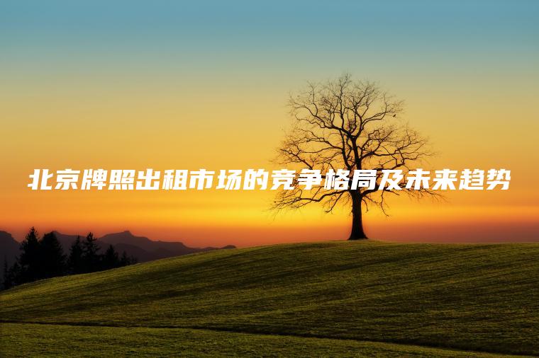 北京牌照出租市场的竞争格局及未来趋势