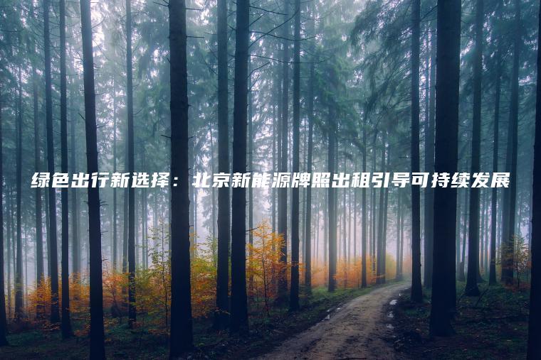 绿色出行新选择：北京新能源牌照出租引导可持续发展