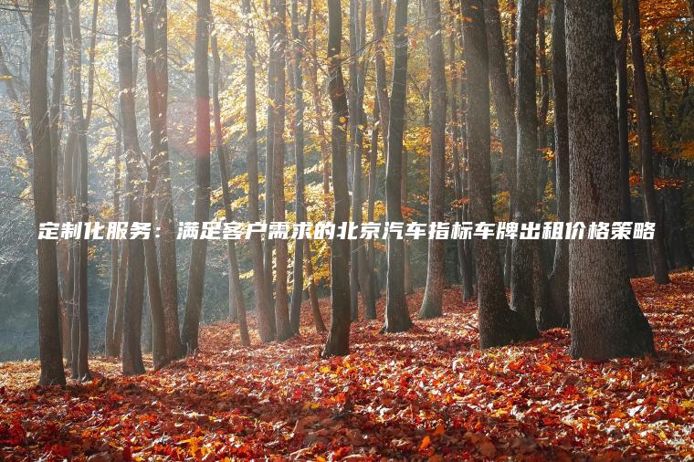 定制化服务：满足客户需求的北京汽车指标车牌出租价格策略