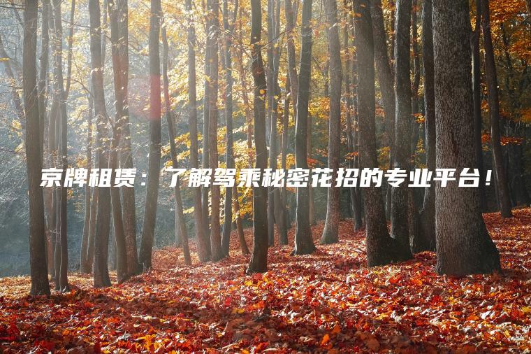 京牌租赁：了解驾乘秘密花招的专业平台！
