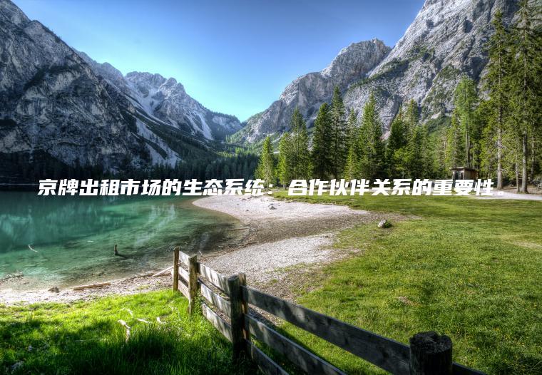 京牌出租市场的生态系统：合作伙伴关系的重要性。
