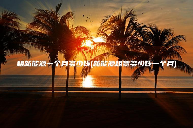 租新能源一个月多少钱(新能源租赁多少钱一个月)