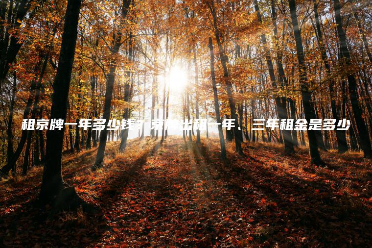租京牌一年多少钱？京牌出租一年、三年租金是多少