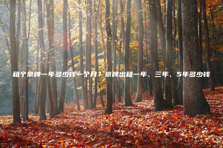 租个京牌一年多少钱一个月？京牌出租一年、三年、5年多少钱