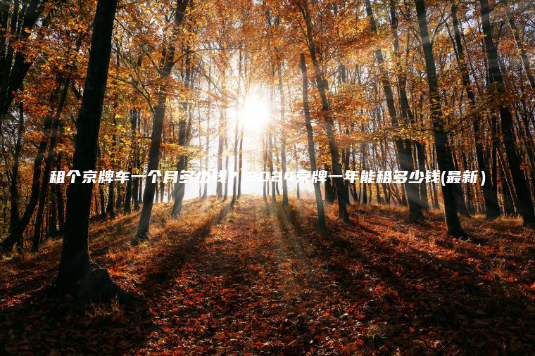 租个京牌车一个月多少钱？2024京牌一年能租多少钱(最新）