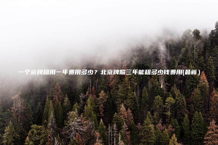 一个京牌租用一年费用多少？北京牌照三年能租多少钱费用(最新）