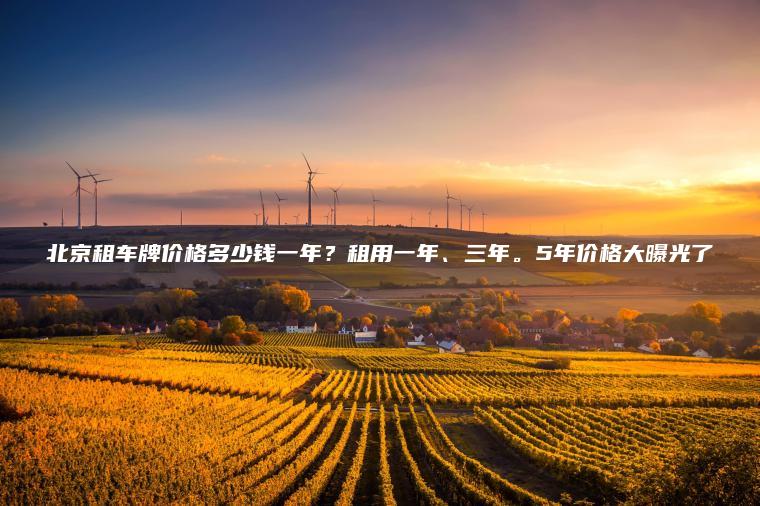 北京租车牌价格多少钱一年？租用一年、三年。5年价格大曝光了