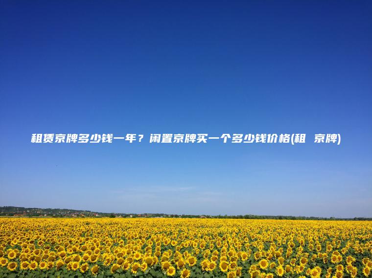 租赁京牌多少钱一年？闲置京牌买一个多少钱价格(租 京牌)
