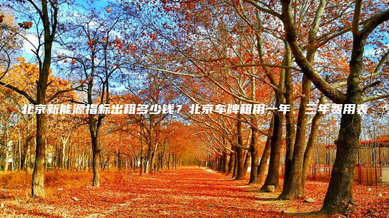 北京新能源指标出租多少钱？北京车牌租用一年、三年费用表