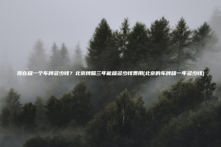 现在租一个车牌多少钱？北京牌照三年能租多少钱费用(北京的车牌租一年多少钱)