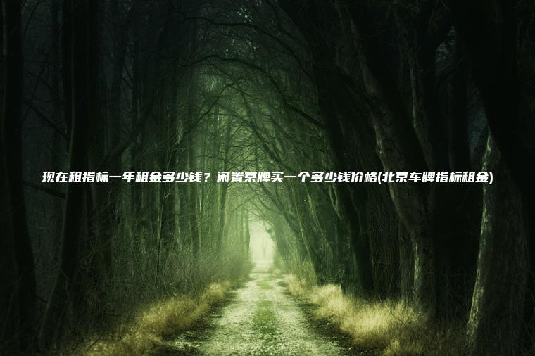现在租指标一年租金多少钱？闲置京牌买一个多少钱价格(北京车牌指标租金)