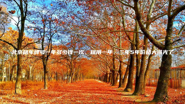 北京租车牌号一年多少钱一次、租用一年、三年5年价格大曝光了