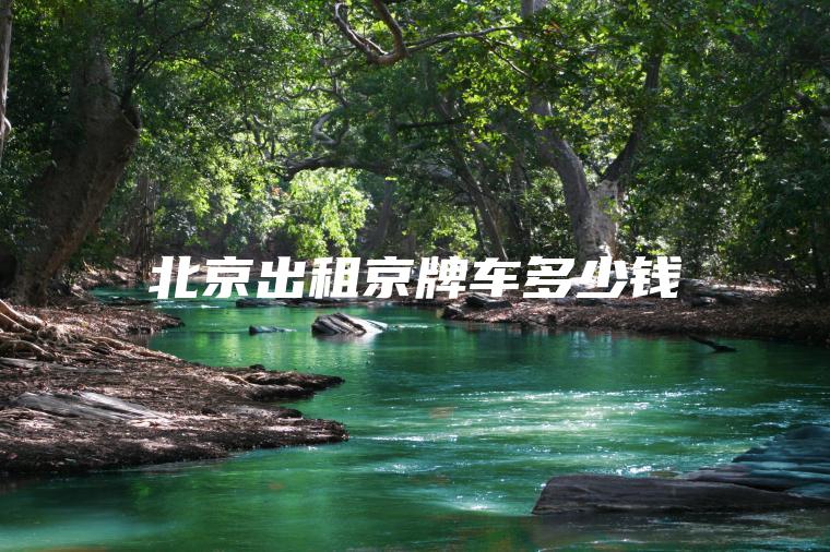 北京出租京牌车多少钱