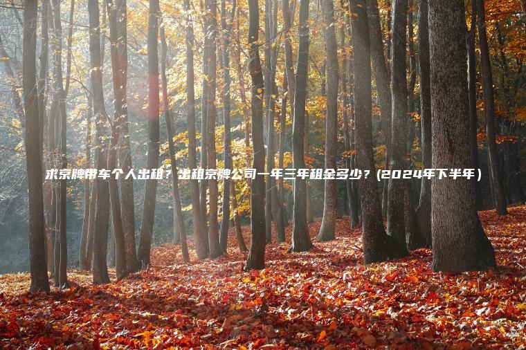 求京牌带车个人出租？出租京牌公司一年三年租金多少？(2024年下半年）