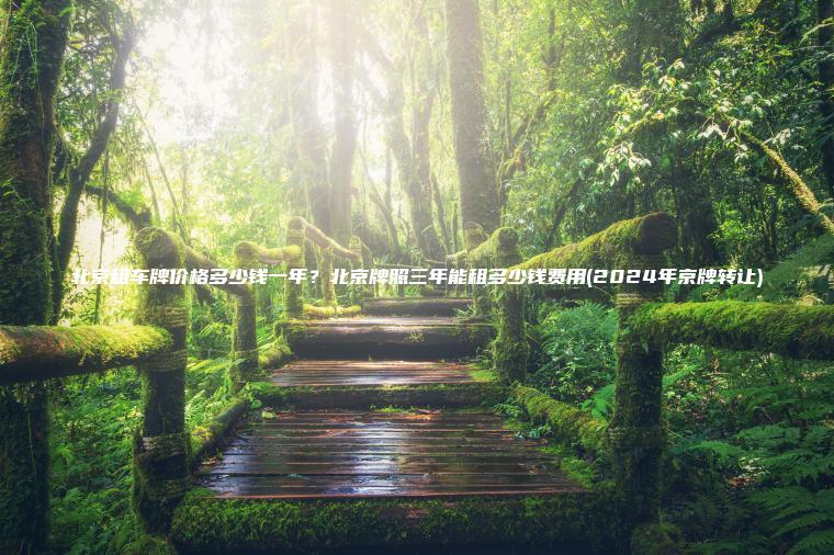 北京租车牌价格多少钱一年？北京牌照三年能租多少钱费用(2024年京牌转让)