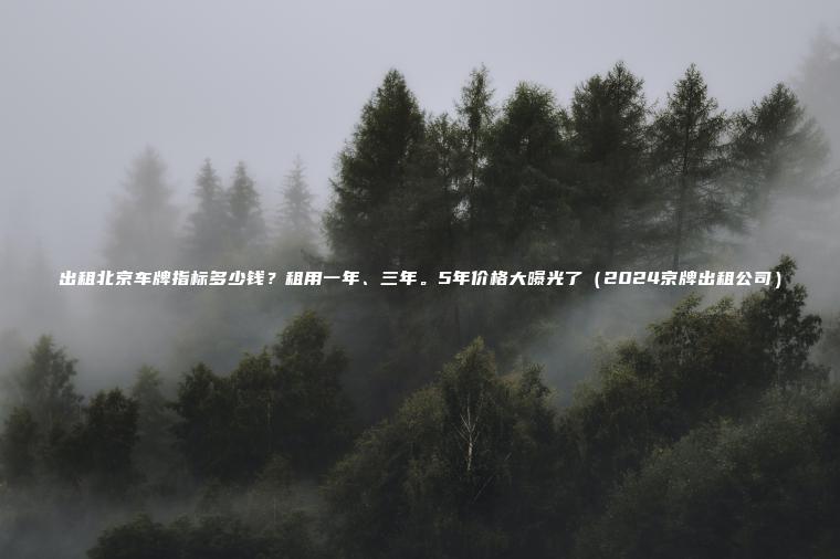 出租北京车牌指标多少钱？租用一年、三年。5年价格大曝光了（2024京牌出租公司）