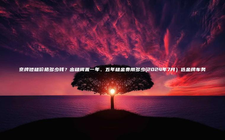 京牌短租价格多少钱？出租闲置一年、五年租金费用多少(2024年7月）选金牌车务