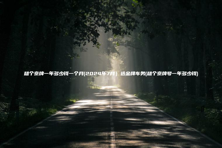 租个京牌一年多少钱一个月(2024年7月）选金牌车务(租个京牌号一年多少钱)