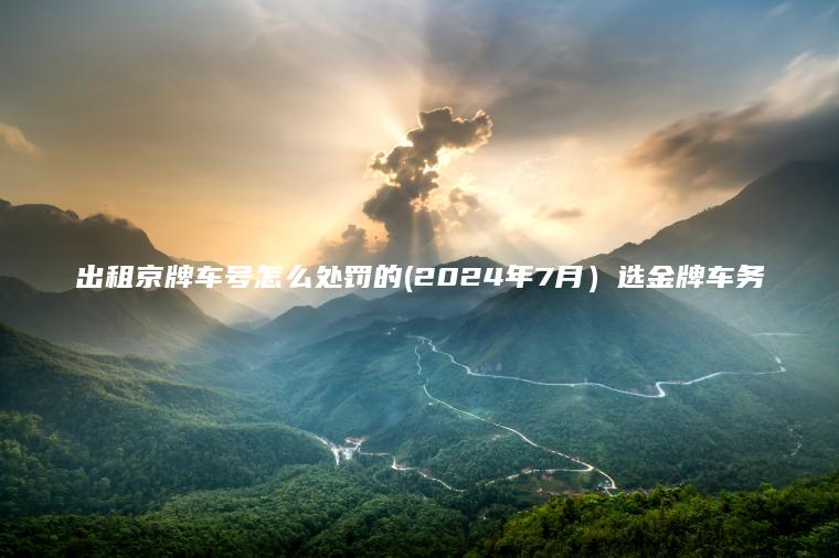 出租京牌车号怎么处罚的(2024年7月）选金牌车务