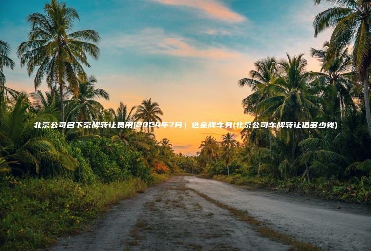 北京公司名下京牌转让费用(2024年7月）选金牌车务(北京公司车牌转让值多少钱)
