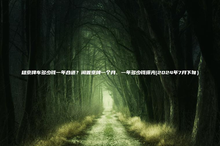 租京牌车多少钱一年合适？闲置京牌一个月、一年多少钱曝光(2024年7月下旬）