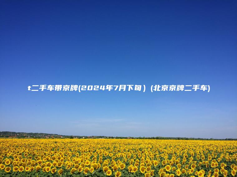 t二手车带京牌(2024年7月下旬）(北京京牌二手车)