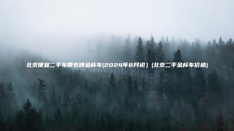 北京便宜二手车带京牌金杯车(2024年8月初）(北京二手金杯车价格)