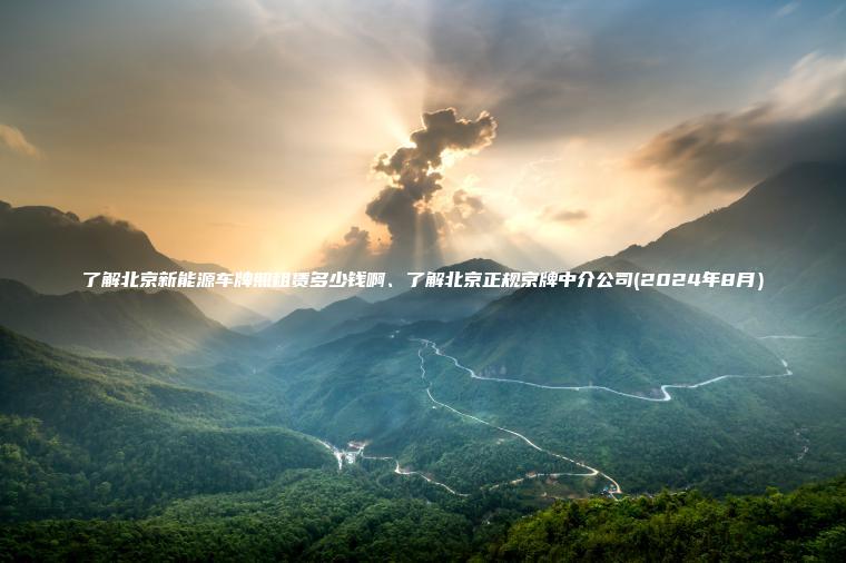 了解北京新能源车牌照租赁多少钱啊、了解北京正规京牌中介公司(2024年8月）