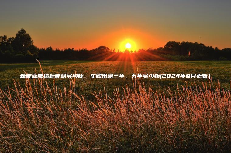 新能源牌指标能租多少钱、车牌出租三年、五年多少钱(2024年9月更新）